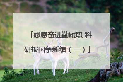 感恩奋进勤履职 科研报国争新绩（一）
