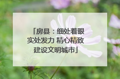 房县：细处着眼 实处发力 精心精致建设文明城市