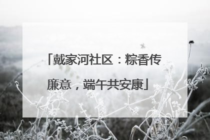 戴家河社区：粽香传廉意，端午共安康
