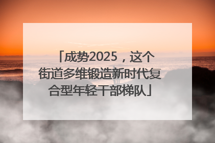 成势2025，这个街道多维锻造新时代复合型年轻干部梯队