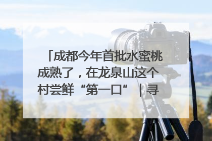 成都今年首批水蜜桃成熟了，在龙泉山这个村尝鲜“第一口”｜寻找和美乡村推荐官
