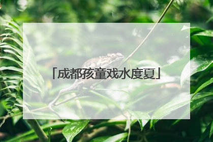 成都孩童戏水度夏