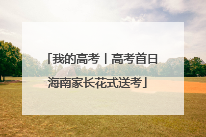 我的高考丨高考首日 海南家长花式送考