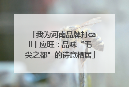 我为河南品牌打call丨应旺：品味“毛尖之都”的诗意栖居
