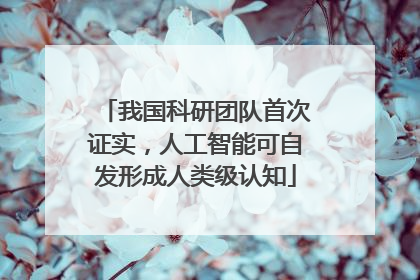 我国科研团队首次证实，人工智能可自发形成人类级认知