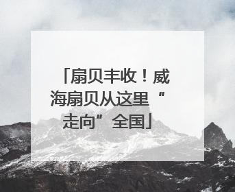 扇贝丰收！威海扇贝从这里“走向”全国
