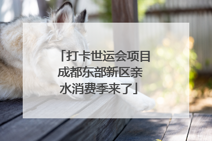 打卡世运会项目 成都东部新区亲水消费季来了