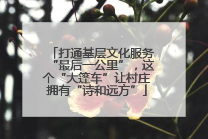 打通基层文化服务“最后一公里”，这个“大篷车”让村庄拥有“诗和远方”