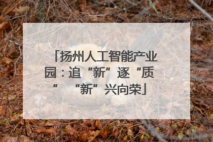 扬州人工智能产业园：追“新”逐“质” “新”兴向荣
