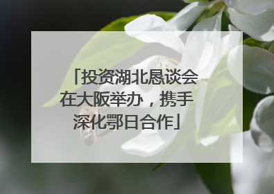 投资湖北恳谈会在大阪举办，携手深化鄂日合作