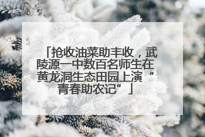 抢收油菜助丰收，武陵源一中数百名师生在黄龙洞生态田园上演“青春助农记”
