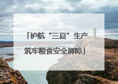 护航“三夏”生产 筑牢粮食安全屏障
