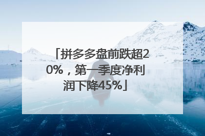 拼多多盘前跌超20%，第一季度净利润下降45%