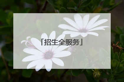 招生全服务