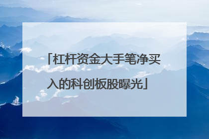 杠杆资金大手笔净买入的科创板股曝光