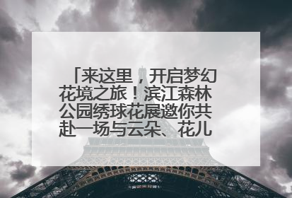 来这里，开启梦幻花境之旅！滨江森林公园绣球花展邀你共赴一场与云朵、花儿的浪漫之约