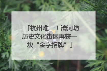 杭州唯一！清河坊历史文化街区再获一块“金字招牌”