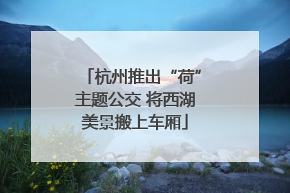 杭州推出“荷”主题公交 将西湖美景搬上车厢