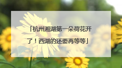 杭州湘湖第一朵荷花开了！西湖的还要再等等
