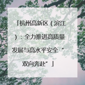 杭州高新区（滨江）：全力推进高质量发展与高水平安全“双向奔赴”