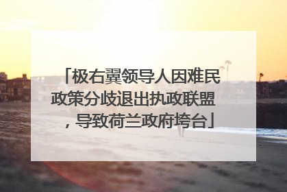 极右翼领导人因难民政策分歧退出执政联盟，导致荷兰政府垮台