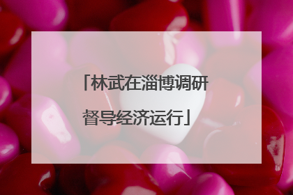 林武在淄博调研督导经济运行