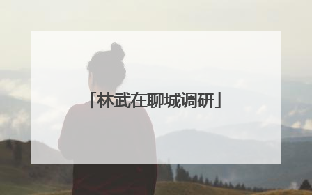林武在聊城调研