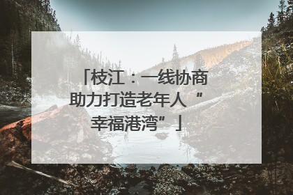 枝江：一线协商助力打造老年人“幸福港湾”