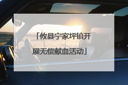 攸县宁家坪镇开展无偿献血活动