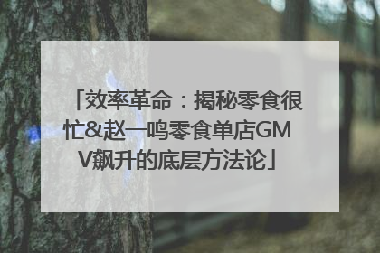 效率革命：揭秘零食很忙&赵一鸣零食单店GMV飙升的底层方法论
