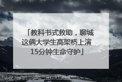 教科书式救助，聊城这俩大学生高架桥上演15分钟生命守护