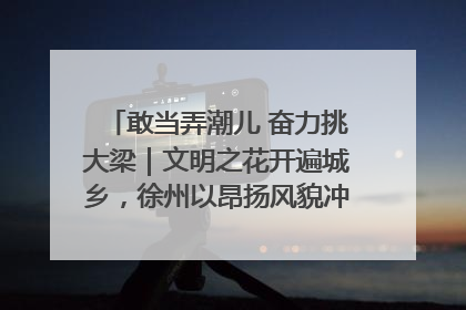 敢当弄潮儿 奋力挑大梁｜文明之花开遍城乡，徐州以昂扬风貌冲刺“万亿之城”