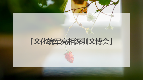 文化皖军亮相深圳文博会