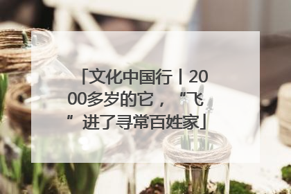文化中国行丨2000多岁的它，“飞”进了寻常百姓家