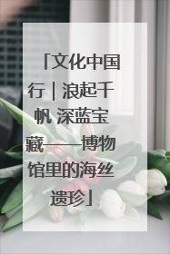 文化中国行｜浪起千帆 深蓝宝藏——博物馆里的海丝遗珍