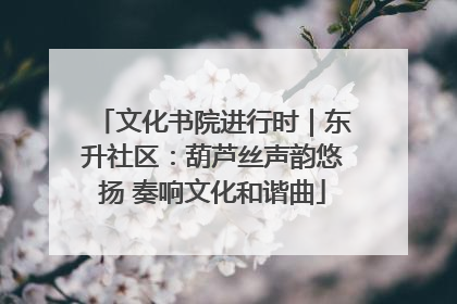 文化书院进行时｜东升社区：葫芦丝声韵悠扬 奏响文化和谐曲