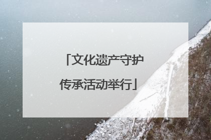 文化遗产守护传承活动举行