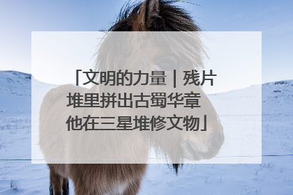 文明的力量｜残片堆里拼出古蜀华章 他在三星堆修文物