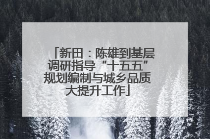 新田：陈雄到基层调研指导“十五五”规划编制与城乡品质大提升工作
