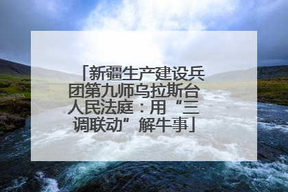 新疆生产建设兵团第九师乌拉斯台人民法庭：用“三调联动”解牛事