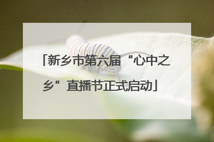 新乡市第六届“心中之乡”直播节正式启动