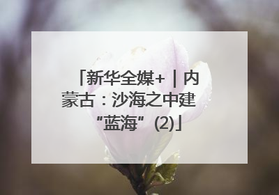 新华全媒+｜内蒙古：沙海之中建“蓝海”(2)