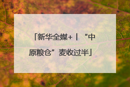 新华全媒+丨“中原粮仓”麦收过半
