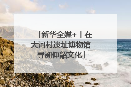 新华全媒+丨在大河村遗址博物馆寻溯仰韶文化