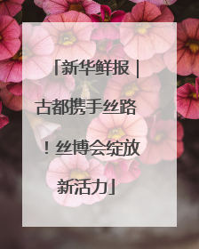 新华鲜报｜古都携手丝路！丝博会绽放新活力