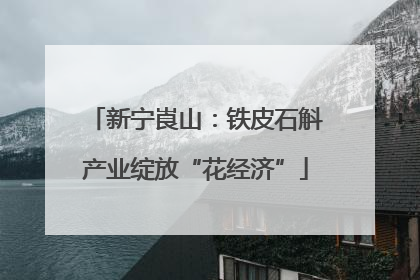 新宁崀山：铁皮石斛产业绽放“花经济”