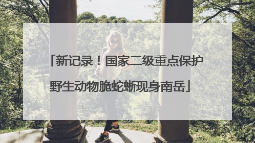 新记录！国家二级重点保护野生动物脆蛇蜥现身南岳