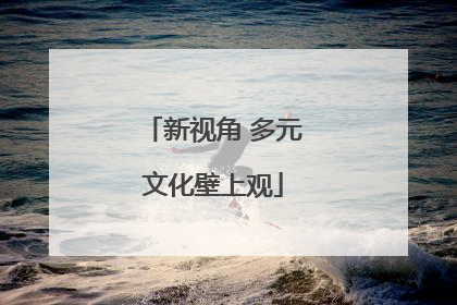 新视角 多元文化壁上观