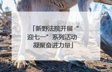 新野法院开展“迎七一”系列活动 凝聚奋进力量