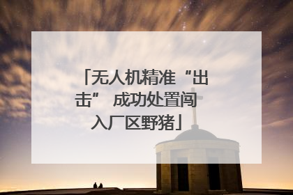 无人机精准“出击” 成功处置闯入厂区野猪